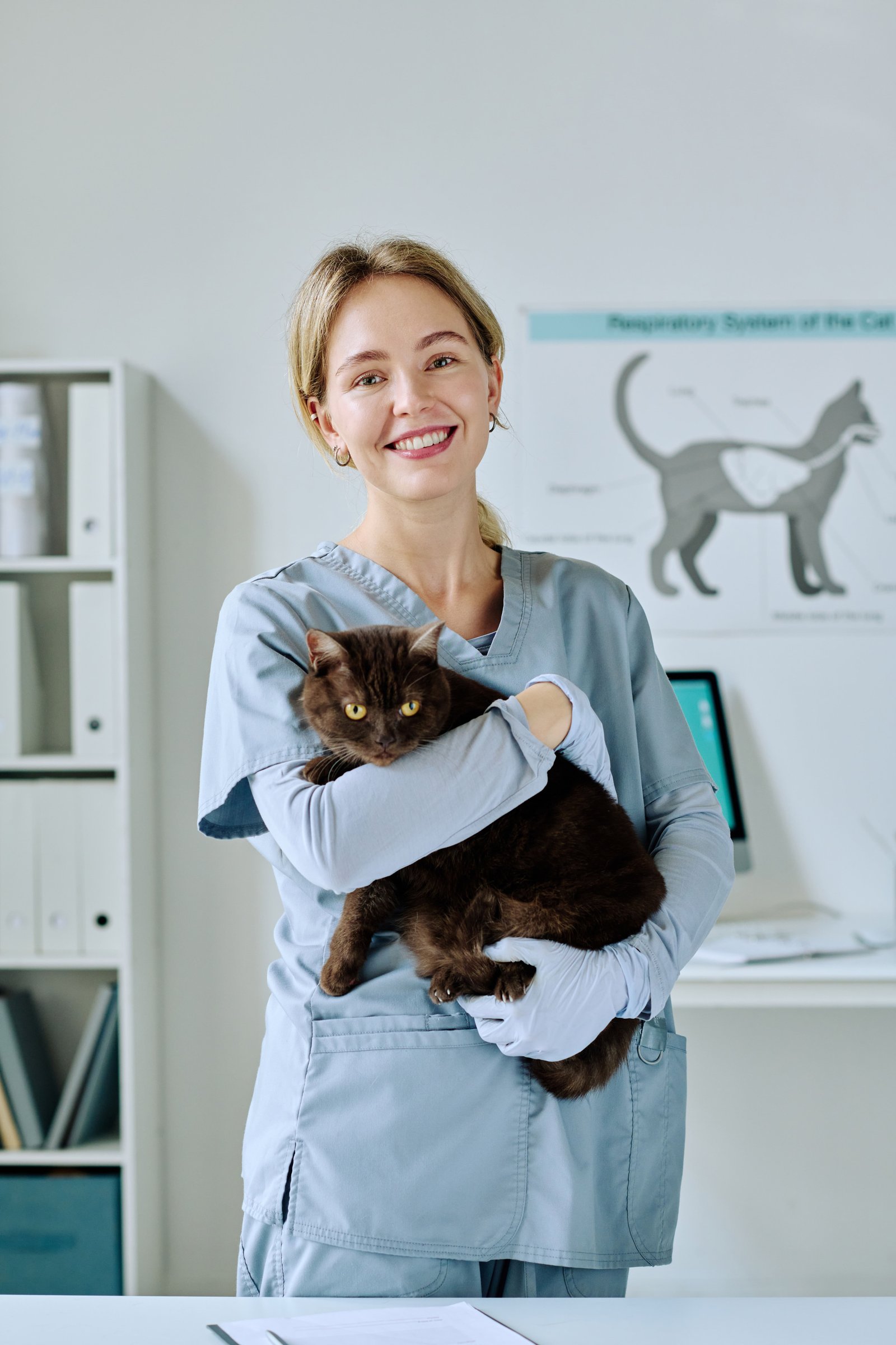 portrait-young-nurse-uniform-holding-cute-cat-while-working-vet-clinic-min