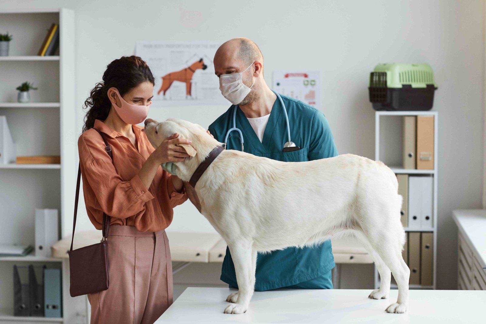 Vet doctor examining the dog at pet hospital in hyderabad
