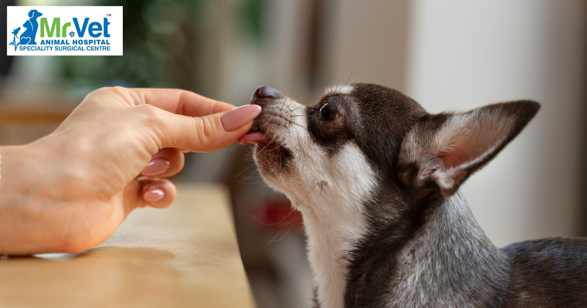 Deworming in Pets