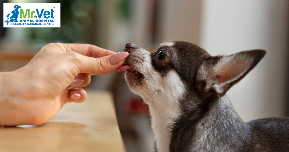Importance of deworming in pets