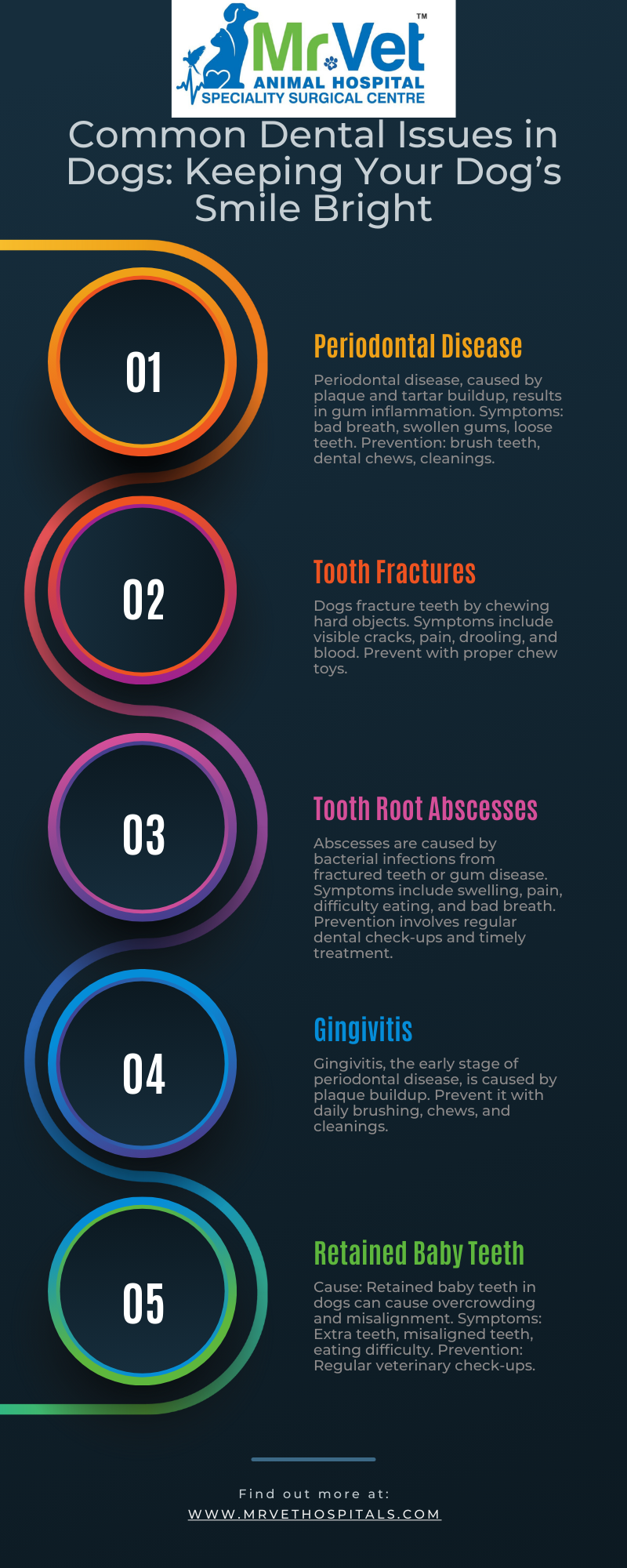 Dental Issues in Dogs