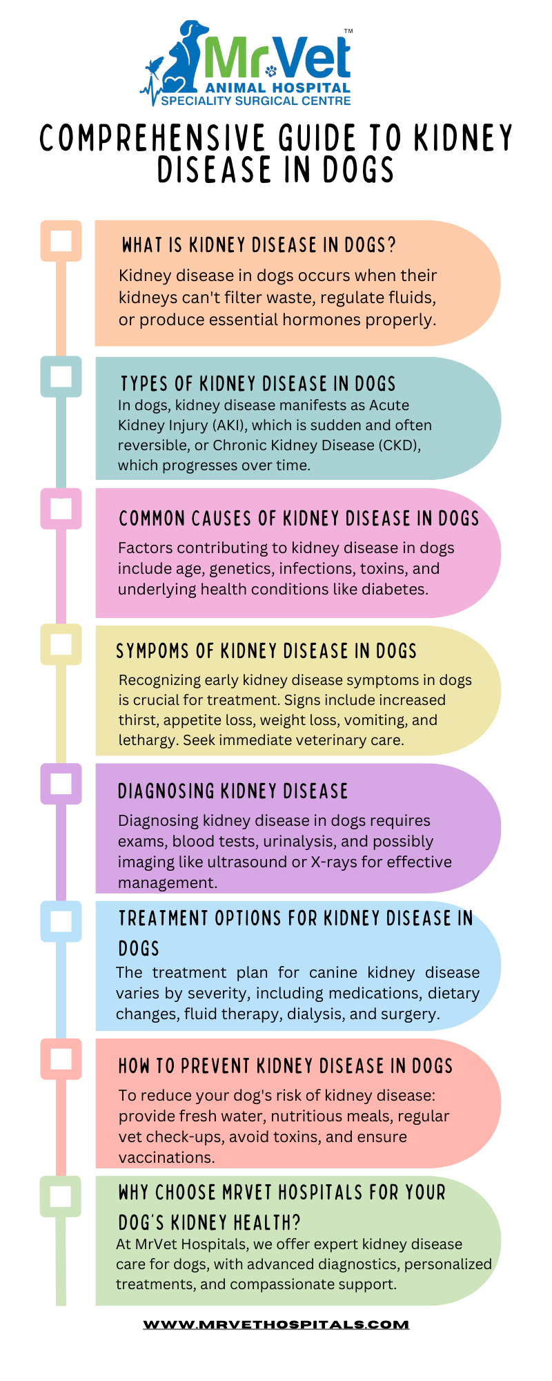 Kidney Disease in Dogs