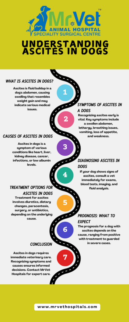 Ascites in Dogs