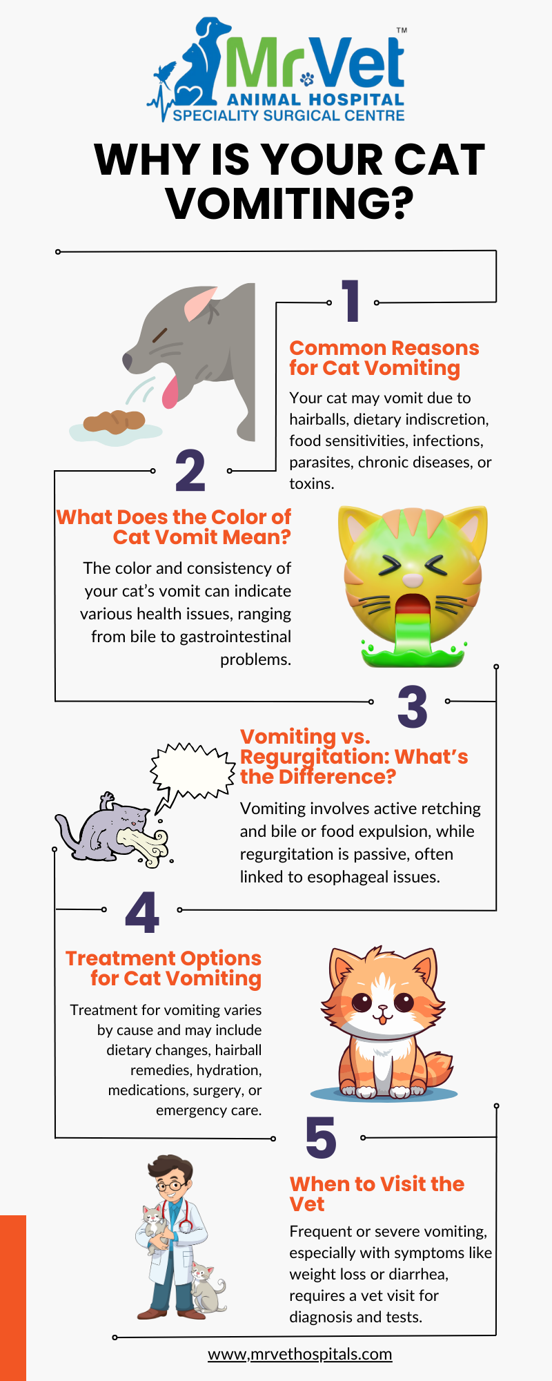 Curated visual reference: Why Is Your Cat Vomiting Understanding Vomit Colors Regurgitation Photo Inspiration