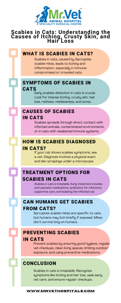 Scabies in Cats