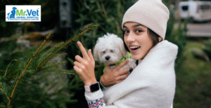 Essential Winter Care Tips for pets to Keep Warm and Healthy