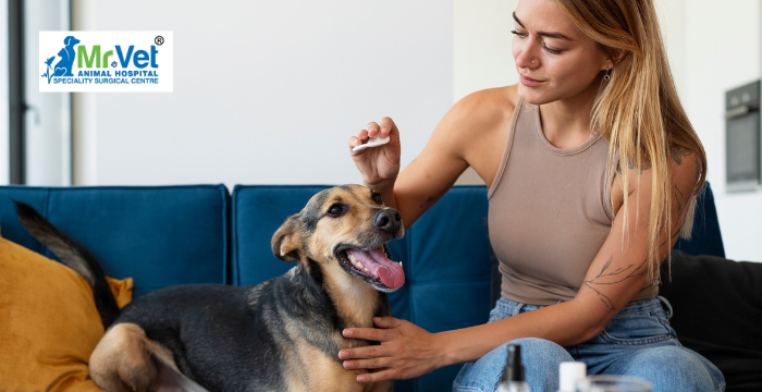 Pet Health Tips