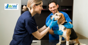 5 Warning Signs Your Pet Needs Immediate Veterinary Attention
