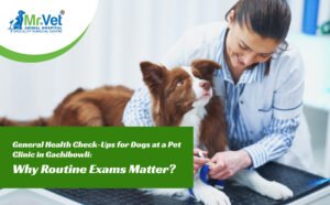 General Health Check-Ups for Dogs at a Pet Clinic in Gachibowli: Why Routine Exams Matter