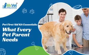 Pet First Aid Kit Essentials: What Every Pet Parent Needs