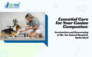Essential Care for Your Canine Companion
