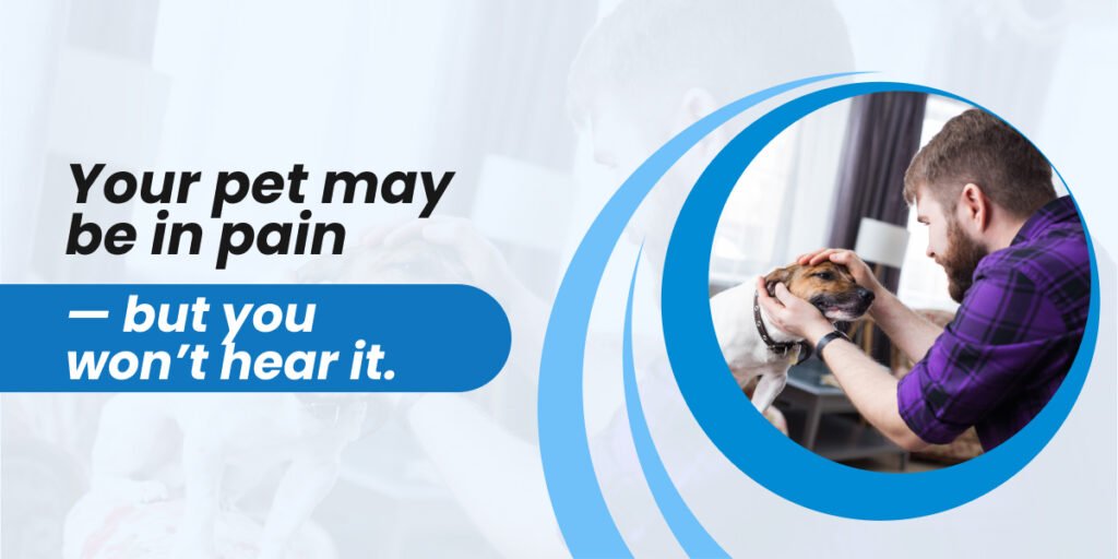 How to Know If Your Pet Needs Emergency Care: A Vet’s Honest Guide for Pet Parents