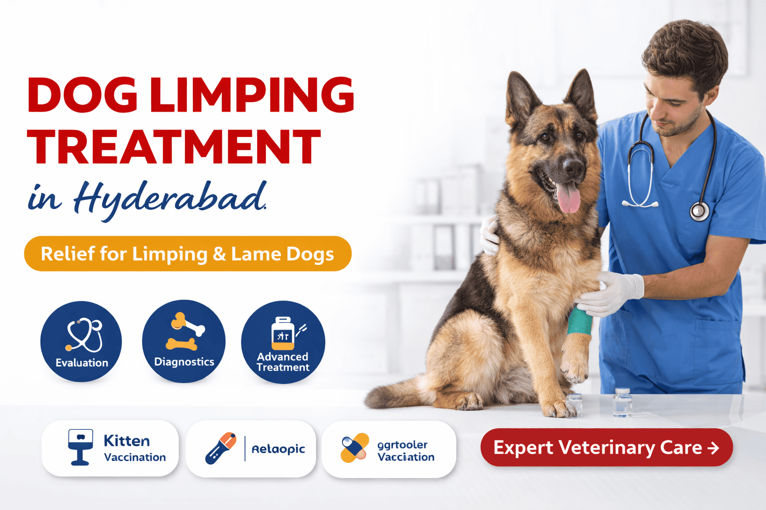 Dog Limping Treatment in Hyderabad