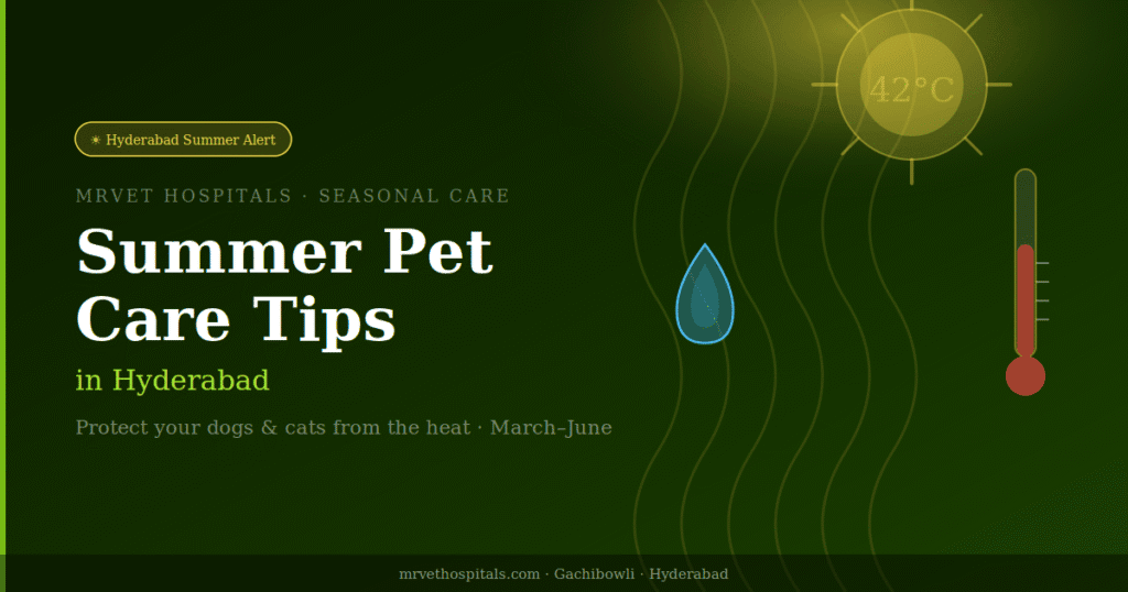 Summer pet care tips in Hyderabad — protecting dogs and cats from the heat