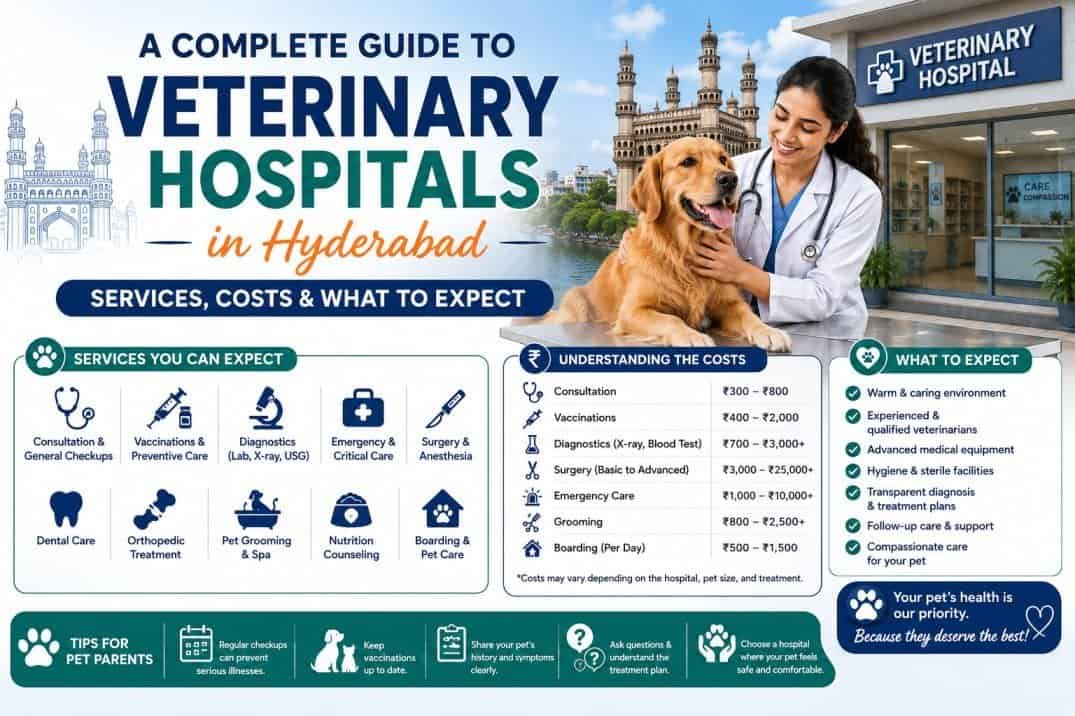 A Complete Guide to Veterinary Hospitals in Hyderabad — Services, Costs & What to Expect