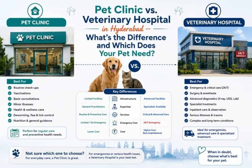 Pet Clinic vs. Veterinary Hospital in Hyderabad — What's the Difference and Which Does Your Pet Need?
