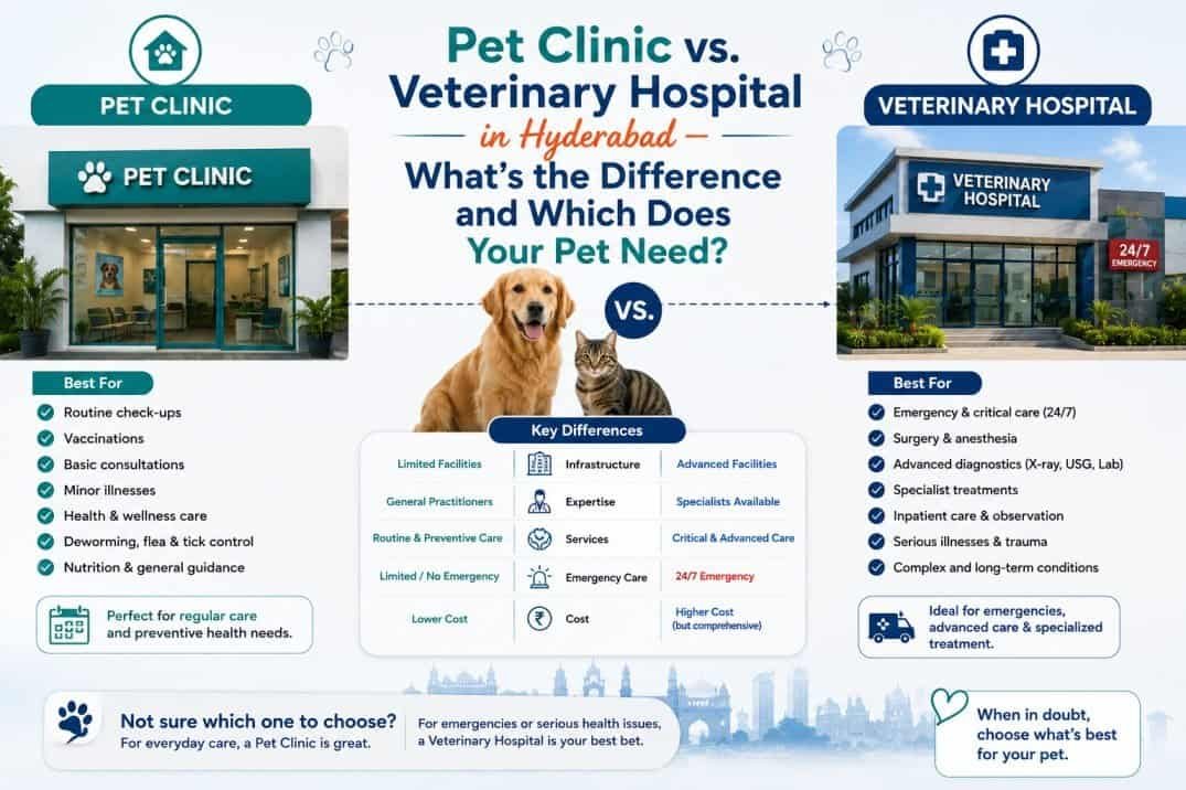 Pet Clinic vs. Veterinary Hospital in Hyderabad — What's the Difference and Which Does Your Pet Need?