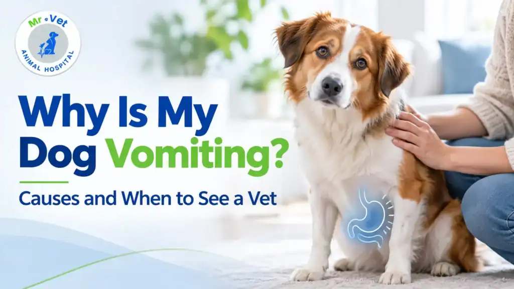 Why Is My Dog Vomiting? Causes & When to See a Vet